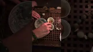 Чайные головы, шу пуэр
