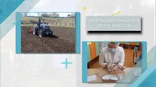 Обучение школьников профессиям