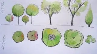 Como desenhar árvores