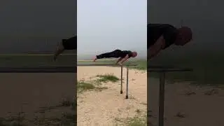 Push-ups in planche, 15 rep’s #calisthenics #workout