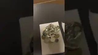 Символ 2019 года