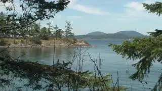 Flavours of the West Coast Trailer ep 508