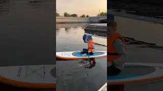 Сезон саббордов открыт 👌