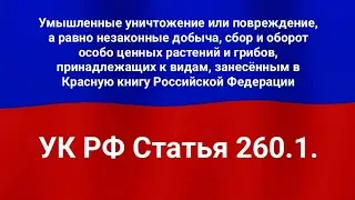 Умышленные уничтожение или повреждение, а равно незаконные добыча, сбор и оборот особо ценных растен