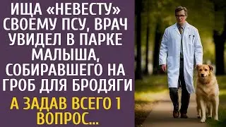 Ища невесту своему псу, врач увидел в парке малыша, собирающего деньги на гроб… А задав всего один