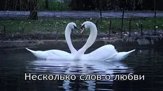 Pavel Fomitchov - Несколько слов о любви