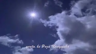 💖Роберт Катчиев 