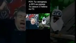 МЕМ ПРО SFG 3  