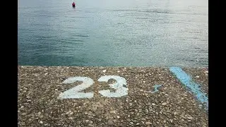 Sim - 23