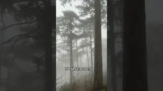 Настрой себя на лучший день с самого утра!