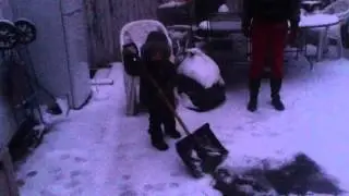 IMG 00671