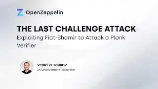 The Last Challenge Attack: Exploiting Fiat-Shamir to Attack a Plonk Verifier