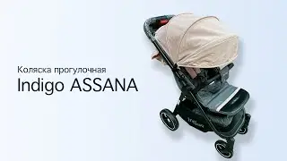 Коляска прогулочная Indigo ASSANA