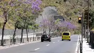 Semáforos no controlo de velocidade de trânsito na Ribeira Brava