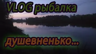 ВЛОГ РЫБАЛКА. Для расслабления. Для души.
