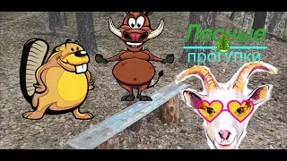Сказка про козу, бобра и кабана