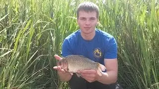 Ловля карася. Рыбалка на озере Сергеевское