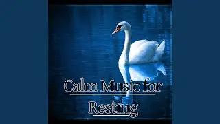 Calm Music for Resting