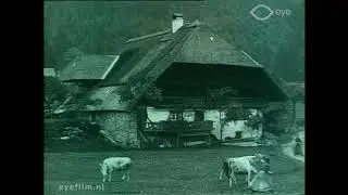 Durchs Albtal nach Sankt Blasien