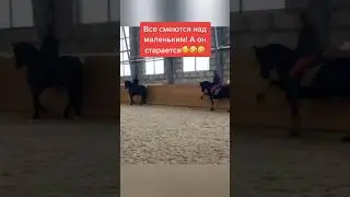 2020 год. Данзарин топает, я сверху угораю 😂 