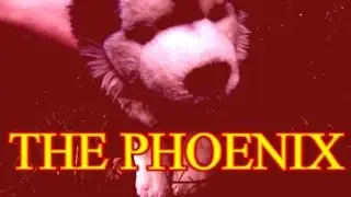 The Phoenix Webkinz Music Video