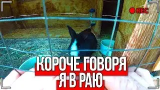 КОРОЧЕ ГОВОРЯ, Я В РАЮ [От первого лица]