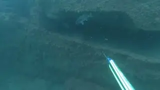 Термоклин.  Подводная охота в Черном море.