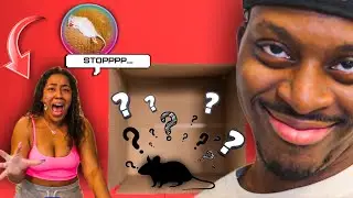What's In The Box Challenge! *EXTREME*😱