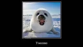 Пожалуйста распили меня болгаркой🥺