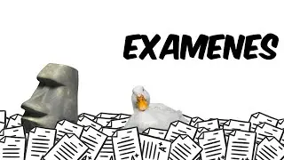 Los exámenes