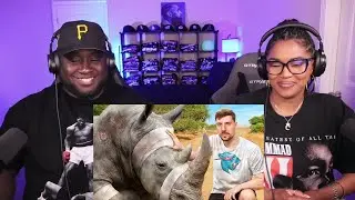 Kidd and Cee Reacts To Saving Endangered Animals From Extinction
