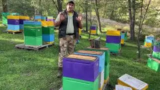 Despre unificări și egalări în stupina …..