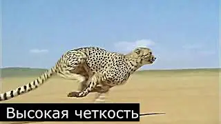 Movavi Видеоредактор.  Деинтерлейсинг/Устранение размытости
