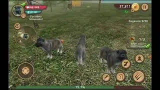 Играю в dog sim.Один игрок.Победили 2 босса: корову и медведя