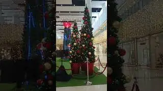 Christmas Trees #shorts #christmas #christmastree