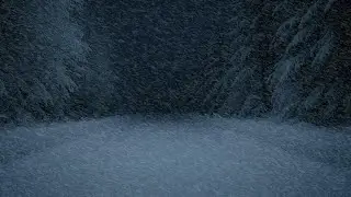 Powerful Winter Windstorm | Relaxing Snowstorm White Noise for Deep Sleep