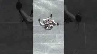 🚁 This Foldable Morphing Quadrotor Changes Shape Mid-Flight!