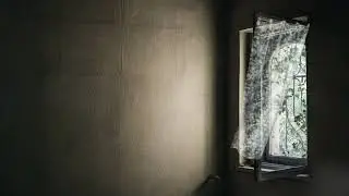 В открытое оконце . . .