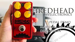 SHREDHEAD DISTORTION PEDAL demo (mvelectronics)