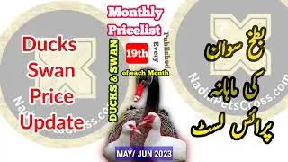 Ducks Swan Pricelist JUN 2023 | Monthly Prices of Swan, Ducks | Bird Market Update ‎@NadiaPetsCross 