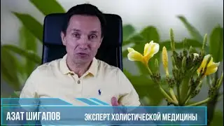 12 меридианов вашего здоровья