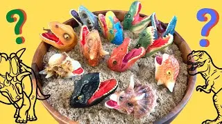 Cool Dinosaur Heads. What types of Dinosaurs are they?