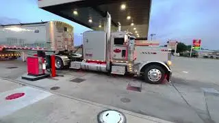 389 Petebilt #WorkingClass