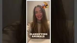 Taxonomy 101: Understanding How Animals Are Grouped and Classified