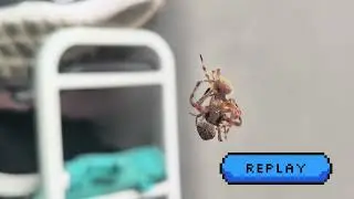 Ang linaw ng laban na to