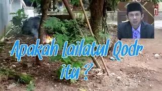 Bakar Sampah || Apakah Lailatul Qodr itu ?