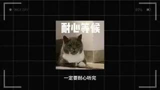 野路子之“影视掘金”