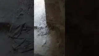 Усадьба Орловых