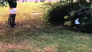 Galaxy S6 edge: Focusing with video + Zoom