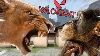 231 Days Of Trolling In Valorant (MaximilianMus Supercut)